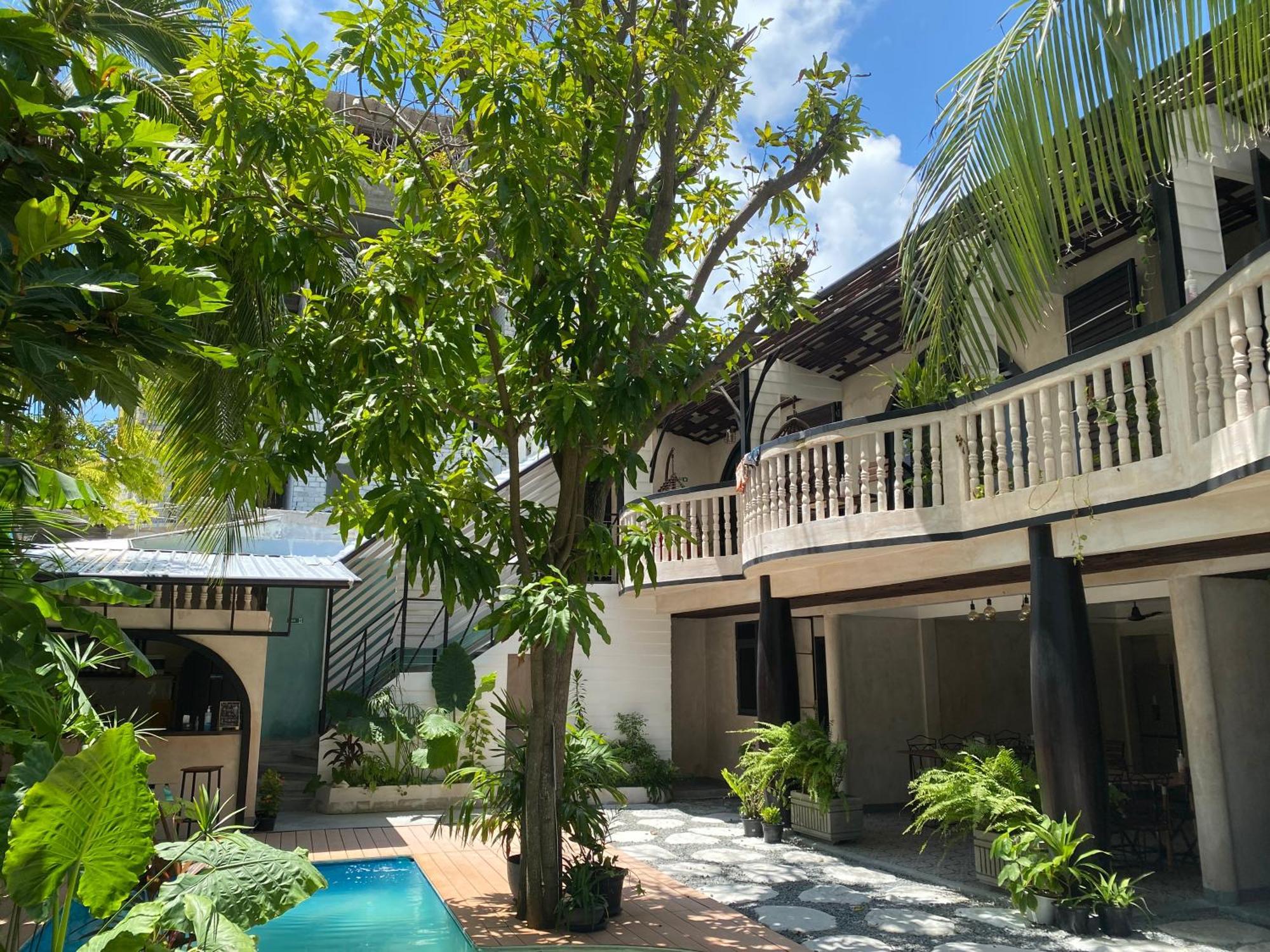 Zinnia Maafushi - Inclusive Airport Roundtrip - Snorkeling - Picnic - Sandbank For 2 Adults With Min 4-Nights Stay - Applicable For Bookings Made From 1St June 2025 Stay Period Till 31St Oct 2025 ภายนอก รูปภาพ